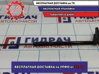 Амортизатор крышки багажника левая Ford Focus 3 BM51A406A10AE.