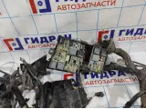 Проводка подкапотная Ford Focus 3 1722665.
