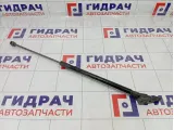 Амортизатор двери багажника правый Ford Focus 3 1747492