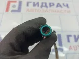 Датчик кислородный Ford Focus 3 1346366. Первый правый. Дефект изоляции.