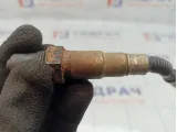 Датчик кислородный Ford Focus 3 1346366. Первый правый. Дефект изоляции.