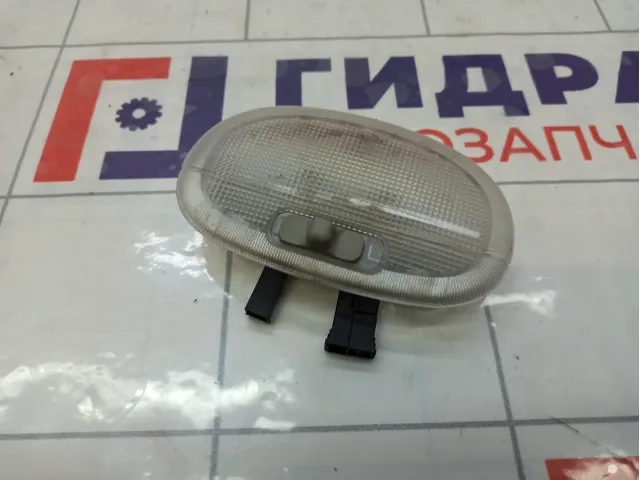 Плафон салонный Ford Fusion 1541618