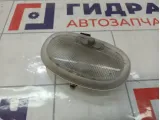 Плафон салонный Ford Fusion 1541618