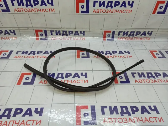 Молдинг крыши левый Ford Fusion 1507301