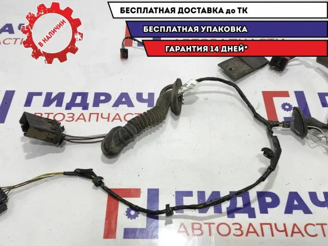 Проводка двери задней левой Ford Kuga 1747666.