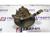 Кулак поворотный задний правый Ford Kuga 1556399.