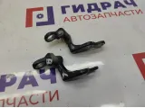 Петля двери задней левой Ford Kuga . Комплект.