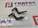 Петля двери задней правой Ford Kuga . Комплект.