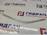 Молдинг заднего стекла левый Ford Kuga 1555411.