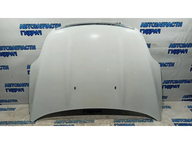 Капот Ford Kuga 1718513.