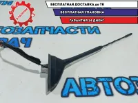 Антенна Ford Kuga AM5T18828BE.