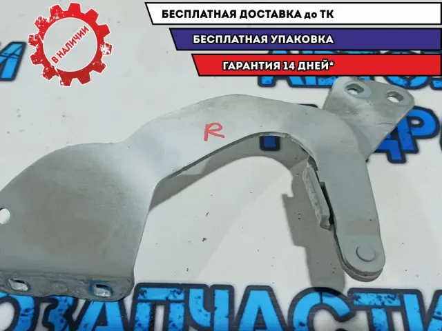 Петля капота правая Ford Kuga 8V4116800AD.