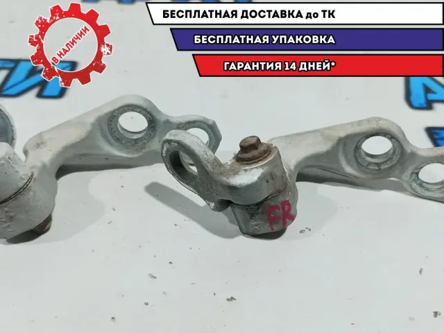 Петли двери передней правой Ford Kuga . Комплект. Верхняя/нижняя.