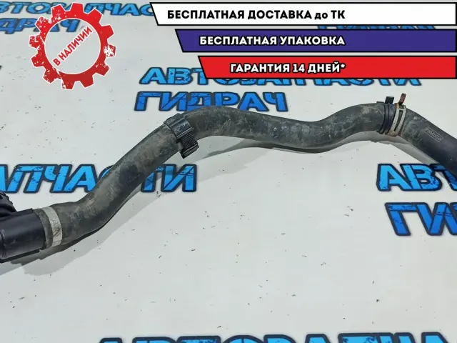 Патрубок радиатора Ford Kuga AV418286AC.
