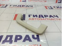 Ручка внутренняя потолочная Ford Kuga (CBS)