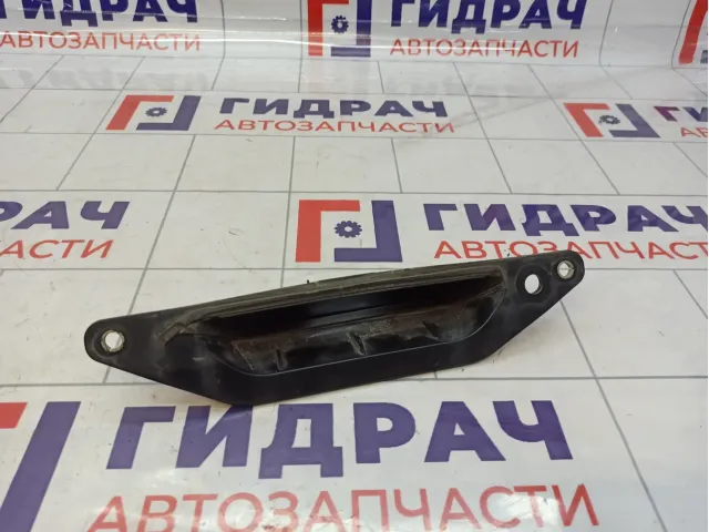Кронштейн ручки открывания багажника Ford Kuga (CBS) 5160272