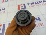 Крышка расширительного бачка Ford Kuga (CBS) 1301104