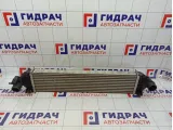 Интеркулер Ford Kuga (CBS) 1787935