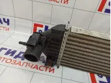 Интеркулер Ford Kuga (CBS) 1787935