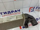 Интеркулер Ford Kuga (CBS) 1787935