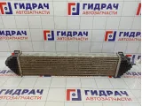 Интеркулер Ford Kuga (CBS) 1787935