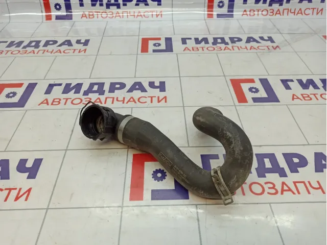 Патрубок радиатора Ford Kuga (CBS) BV618286DD