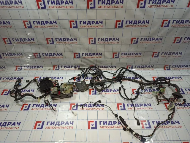 Проводка подкапотная Ford Kuga (CBS) CV6T14K733GDG
