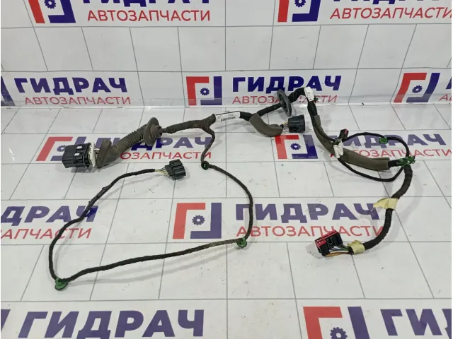 Проводка двери задней правой Ford Kuga (CBS) 1832395