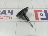 Болт крепления запасного колеса Ford Kuga (CBS) 1685451