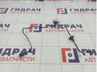 Проводка фонарей подсветки номера Ford Kuga (CBS)