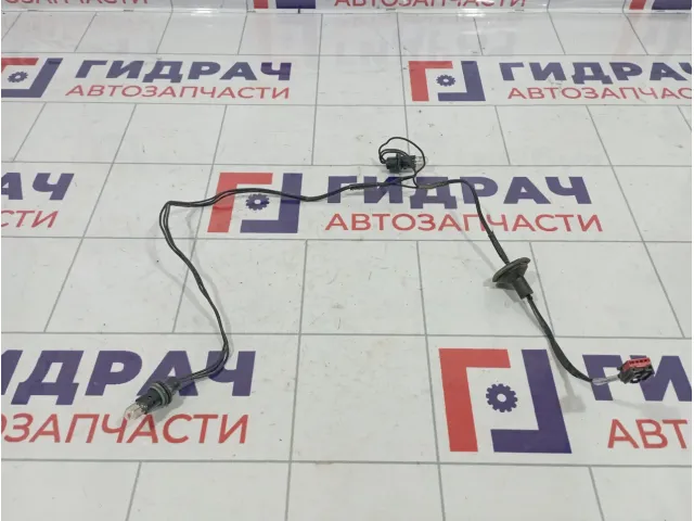 Проводка фонарей подсветки номера Ford Kuga (CBS)