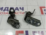 Петли двери передней левой Ford Kuga (CBS)