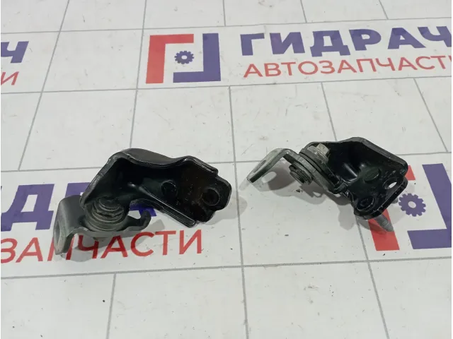 Петли двери задней левой Ford Kuga (CBS)