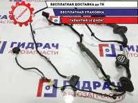 Проводка двери задней левой Ford Kuga 2 1832400.