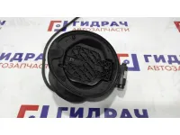Ниша лючка бензобака Ford Kuga 2 2116063.