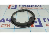 Кронштейн заднего левого динамика Ford Kuga 2 CJ54S20347AC.