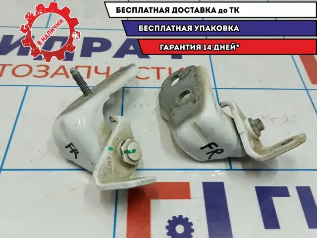 Петля двери передней правой Ford Kuga 2. Комплект.