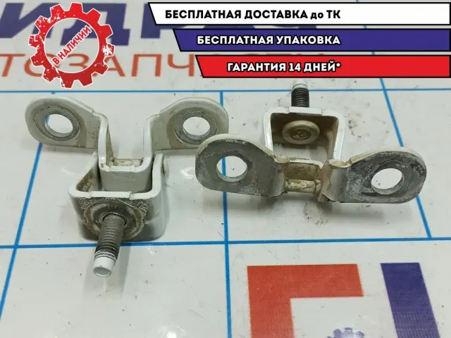 Петли двери багажника Ford Kuga 2. Комплект.