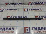 Уплотнитель стекла двери задней левой Ford Kuga 5257182