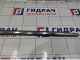 Накладка стекла заднего левого Ford Kuga 5223224