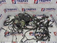 Проводка двигателя Ford Kuga