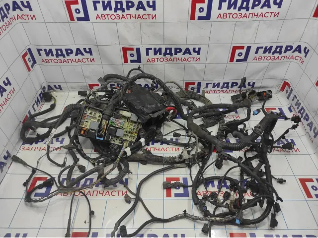 Проводка двигателя Ford Kuga