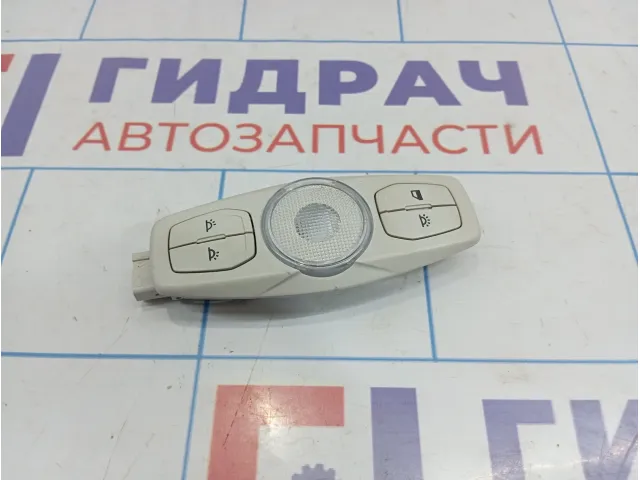 Плафон салонный Ford Kuga CJ5A-13K767-GF3AM1
