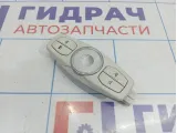 Плафон салонный Ford Kuga CJ5A-13K767-GF3AM1