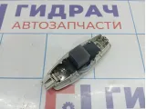 Плафон салонный Ford Kuga CJ5A-13K767-BF3AM1
