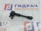 Катушка зажигания Ford Kuga BM5G-12A366-DA