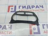 Накладка декоративная Ford Kuga AM51-18522-BDW