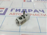 Клапан кондиционера Ford Kuga DV6N-19849-AA