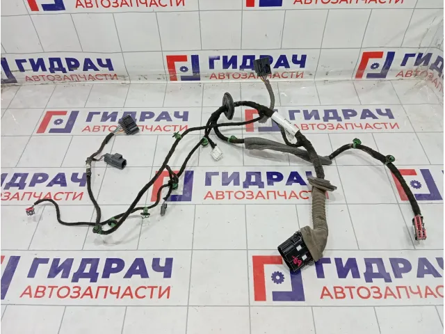 Проводка двери задней правой Ford Kuga 2259411