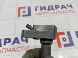 Катушка зажигания Ford Kuga 1836729